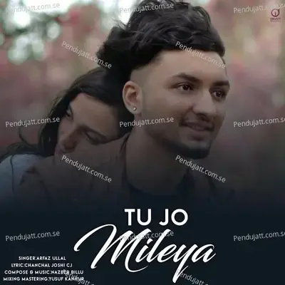 Tu Jo Mileya - Arfaz Ullal album cover 