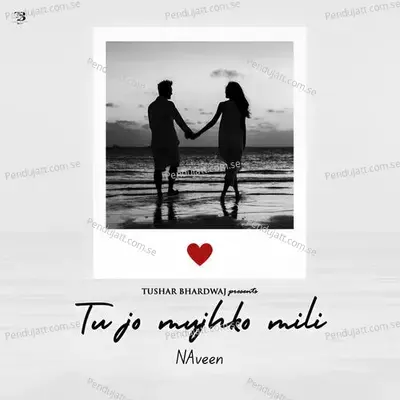 Tu Jo Mujhko Mili - Naveen album cover 