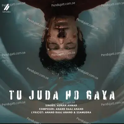 Tu Juda Ho Gaya - Anand Raaj Anand album cover 