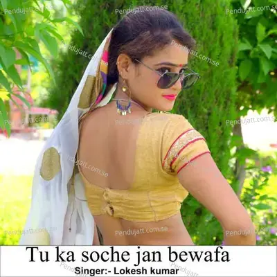 Tu Ka Soche Jan Bewafa - Lokesh Kumar album cover 