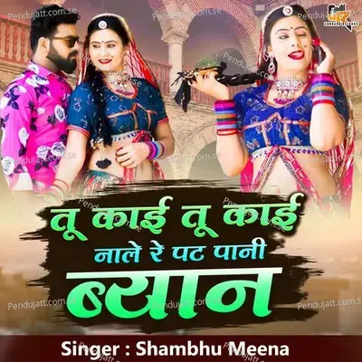 Tu Kai Tu Kai Nale Re Pat Pani Byan - Shambhu Meena album cover 