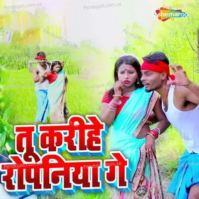 Tu Karihe Ropaniya Ge - Raju Raj album cover 