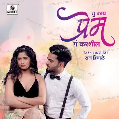 Tu Kay Prem Ga Karshil - Raj Hiwale album cover 
