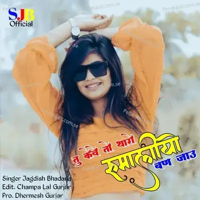 Tu Keve To Tharo Rumaliyo Ban Jau - Jagdish Bhadana album cover 