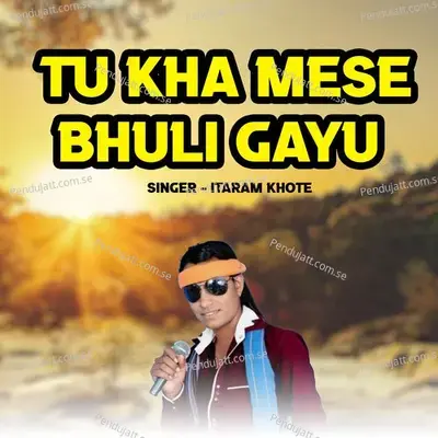 Tu Kha Mese Bhuli Gyi - Itaram Khote album cover 