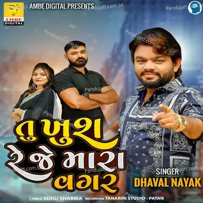 Tu Khus Reje Mara Vagar - Dhaval Nayak album cover 