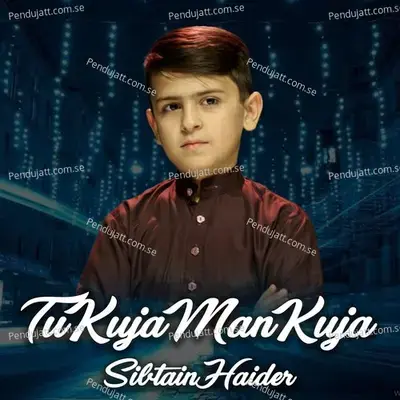 Tu Kuja Man Kuja - Sibtain Haider album cover 