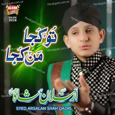 Tu Kuja Mann Kuja - Syed Arsalan Shah Qadri album cover 