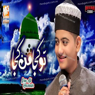 Tu Kujaa Man Kujaa - Rao Ali Hasnain album cover 