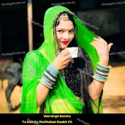 Tu Kun Su Mohhabat Raakh Ch - Veersingh Banota album cover 