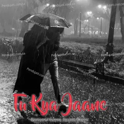 Tu Kya Jaane - Prashant Kumar album cover 