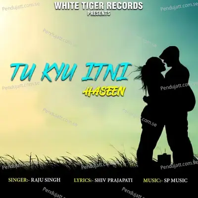 Tu Kyu Itni Haseen - Raju Singh album cover 