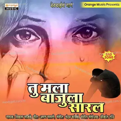 Tu Mala Bajula Sarla - Vikas Salve album cover 