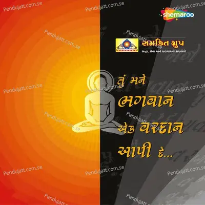 Tu Mane Bhagwan - Ketan Dedhia cover album