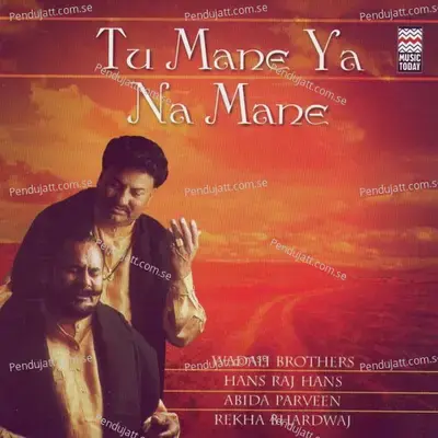 Tu Mane Ya Na Mane - Wadali Brothers album cover 