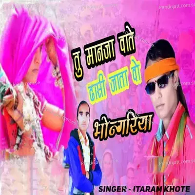 Tu Manja Vate Dhasu Jata Wo Bhangoriya - Itaram Khote album cover 