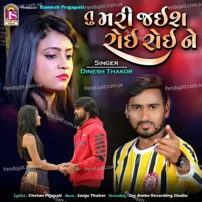 Tu Mari Jais Roi Roi Ne - Dinesh Thakor album cover 