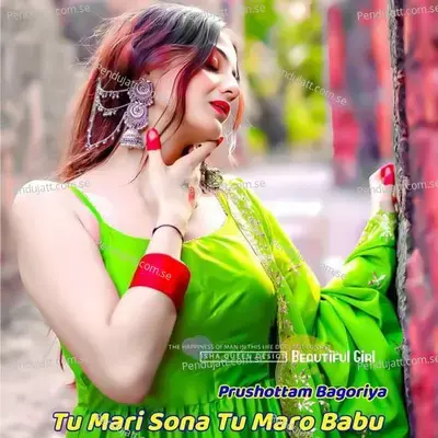 Tu Mari Sona Tu Maro Babu - PURUSHOTTAM BAGORIYA album cover 