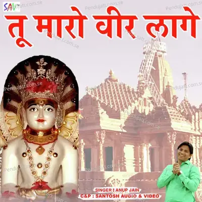 Hey Gurudev - Anoop Jain album cover 