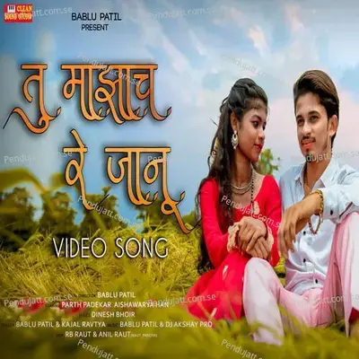 Tu Mazach Re Janu - bablu patil album cover 