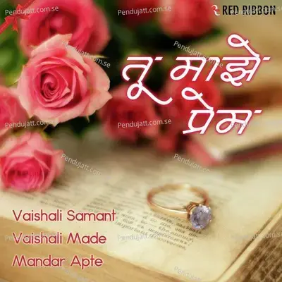 Thamb Ge Pori - Mandar Apte album cover 