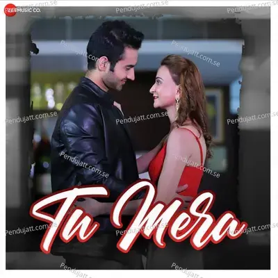 Tu Mera - Altamash Faridi album cover 