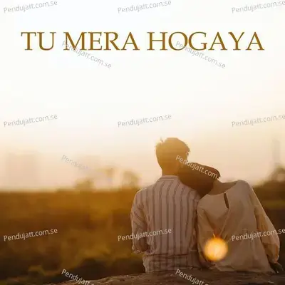 Tu Mera Ho Gaya - Various Artists