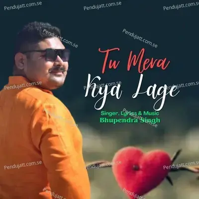 Tu Mera Kya Lage - Bhupendra Singh album cover 