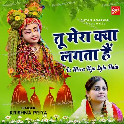 Tu Mera Kya Lgta Hain - Krishna Priya album cover 