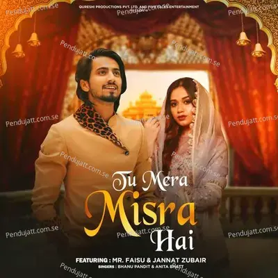 Tu Mera Misra Hai - Bhanu Pandit album cover 