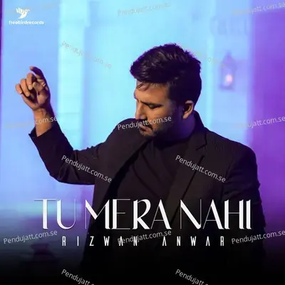 Tu Mera Nahi - Rizwan Anwar album cover 