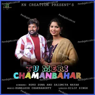 Tu Meri Chamanbahar - Ruku Suna album cover 