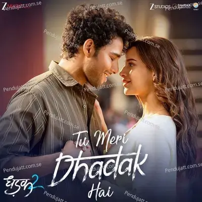 Tu Meri Dhadak Hai - Rashmi-Virag album cover 