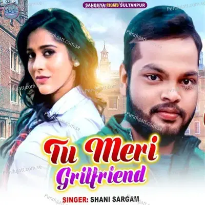 Tu Meri Grilfriend - Shani Sargam album cover 