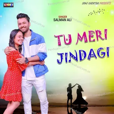 Tu Meri Jindagi - Salman Ali album cover 