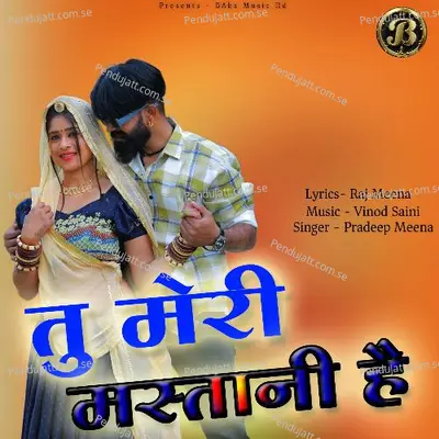 Tu Meri Mastani Hai - Pradeep Meena album cover 