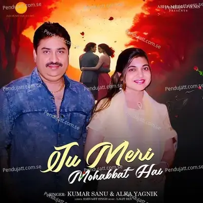 Tu Meri Mohabbat Hai - Kumar Sanu album cover 