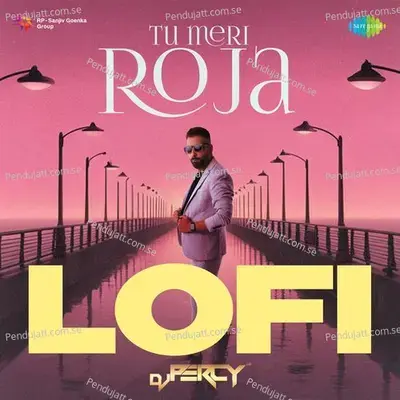 Tu Meri Roja - Lofi mp3 song