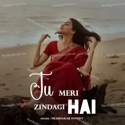 Tu Meri Zindagi Hai - Prabhakar Pandey album cover 