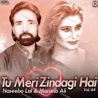 Mohabbat Ki Keemat Ada Kya - Naseebo Lal album cover 