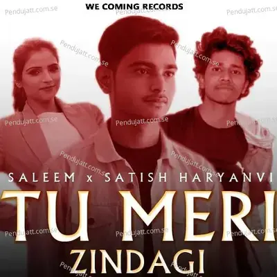 Tu Meri Zindagi - Saleem album cover 