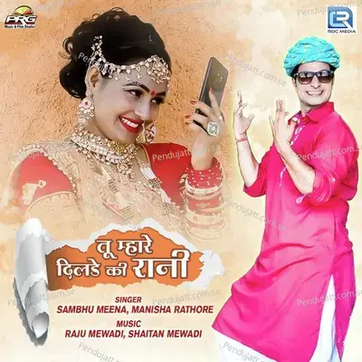 Tu Mhare Dilde Ki Rani - Sambhu Meena album cover 