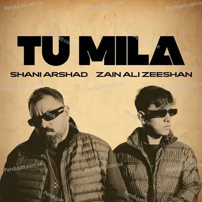 Tu Mila - Shani Arshad album cover 