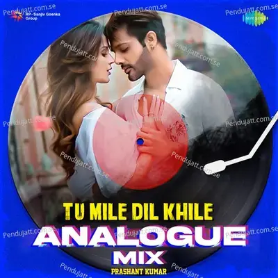 Tu Mile Dil Khile Analogue Mix - Prashant Kumar album cover 