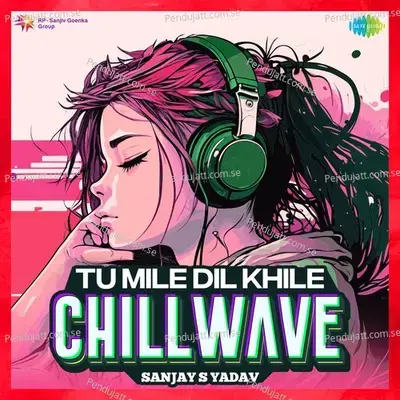 Tu Mile Dil Khile - Chillwave - Sanjay S Yadav album cover 