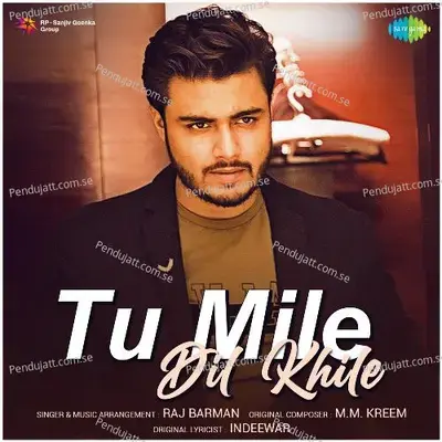 Tu Mile Dil Khile - Raj Barman album cover 