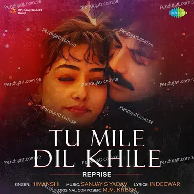 Tu Mile Dil Khile - Reprise - Himanshi album cover 