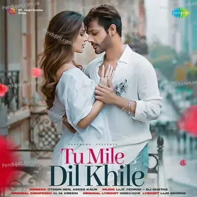 Tu Mile Dil Khile - Stebin Ben
