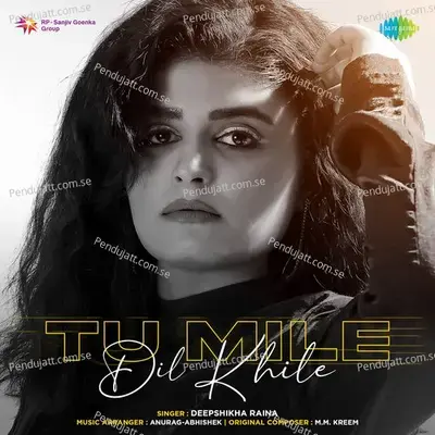 Tu Mile Dil Khile - Deepshikha Raina album cover 