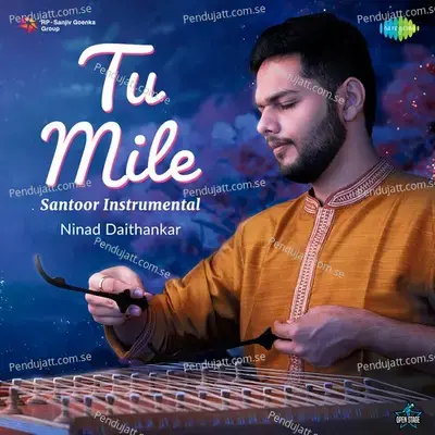 Tu Mile - Santoor Instrumental - Ninad Daithankar album cover 